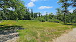 4877 S Martinsburg Rd Salem IN 47167 | MLS 202508264 Photo 3