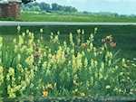 1861 Old Salem Rd Lanesville IN 47136 | MLS 202508168 Photo 68