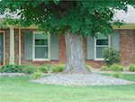 121 Presbyterian Ave Hanover IN 47243 | MLS 202509029 Photo 55