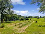 2751 German Ridge Rd Ne Corydon IN 47112 | MLS 202508970 Photo 13