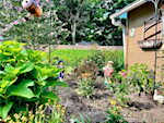 924 S Lynn St Seymour IN 47274 | MLS 202509136 Photo 31