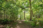 2337 N State Road 3 Lexington IN 47138 | MLS 202508117 Photo 37