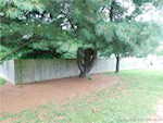 8383 S Old Palmyra Rd Pekin IN 47165 | MLS 202509149 Photo 3