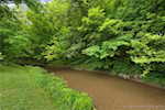 1127 - 1131 Walnut St Madison IN 47250 | MLS 202508962 Photo 8