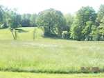 6429 E Blocher Rd Lexington IN 47138 | MLS 202508036 Photo 31