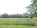 6429 E Blocher Rd Lexington IN 47138 | MLS 202508036 Photo 30