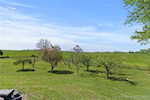 155 Mosley Ln Bedford KY 40006 | MLS 202508126 Photo 28