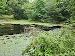 2468 Budd Rd New Albany IN 47150 | MLS 202509046 Photo 61