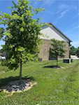 7901 Westmont Dr Sellersburg IN 47172 | MLS 202509227 Photo 36