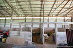1000 E County Road 55 S North Vernon IN 47265 | MLS 202509263 Photo 50