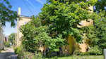 514 Jefferson St Madison IN 47250 | MLS 202506665 Photo 4