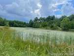 7212 W New Bethel Rd Lexington IN 47138 | MLS 202509280 Photo 6