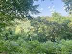 4261.4259 Stone Mountain Rd New Albany IN 47150 | MLS 202509246 Photo 21
