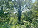 4261.4259 Stone Mountain Rd New Albany IN 47150 | MLS 202509246 Photo 18