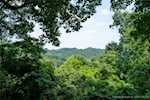 4261.4259 Stone Mountain Rd New Albany IN 47150 | MLS 202509246 Photo 14
