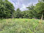 3991 S Yoder Ln English IN 47118 | MLS 202509353 Photo 23
