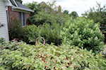 3205 Hadleigh Place New Albany IN 47150 | MLS 202509492 Photo 72