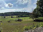 9175 Ripperdan Valley Rd Sw Mauckport IN 47142 | MLS 202509557 Photo 23
