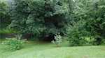 4882 N Hunter Rd Campbellsburg IN 47108 | MLS 202509625 Photo 13