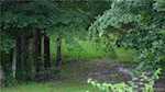 4882 N Hunter Rd Campbellsburg IN 47108 | MLS 202509625 Photo 12