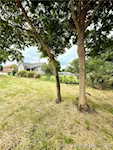 104 S Front St Henryville IN 47126 | MLS 202509656 Photo 34