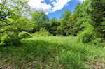 4387 W Cole Rd Salem IN 47167 | MLS 202509683 Photo 50