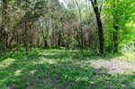 4387 W Cole Rd Salem IN 47167 | MLS 202509683 Photo 47