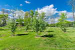 4387 W Cole Rd Salem IN 47167 | MLS 202509683 Photo 42