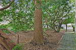 416 E Second St Madison IN 47250 | MLS 202509696 Photo 47