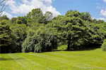 205 Hwy 64 Ne New Salisbury IN 47161 | MLS 202509593 Photo 49