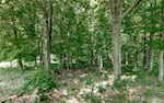 1180 Nance Ln Lanesville IN 47136 | MLS 202509799 Photo 20