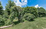 1180 Nance Ln Lanesville IN 47136 | MLS 202509799 Photo 16