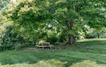 1180 Nance Ln Lanesville IN 47136 | MLS 202509799 Photo 11