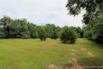 14790 N Martin Mathis Rd Ne Palmyra IN 47164 | MLS 202509740 Photo 46