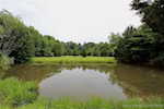 14790 N Martin Mathis Rd Ne Palmyra IN 47164 | MLS 202509740 Photo 2