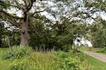 3055 E Lemon Rd Madison IN 47250 | MLS 202509882 Photo 67