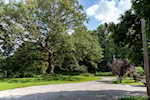3055 E Lemon Rd Madison IN 47250 | MLS 202509882 Photo 43