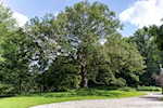 3055 E Lemon Rd Madison IN 47250 | MLS 202509882 Photo 42
