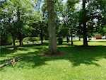 902 Coleman St Ne Palmyra IN 47164 | MLS 202509677 Photo 4