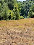 7404 E State Road 160 Salem IN 47167 | MLS 202509870 Photo 32