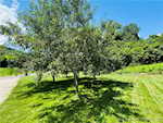 7404 E State Road 160 Salem IN 47167 | MLS 202509870 Photo 41