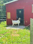 7404 E State Road 160 Salem IN 47167 | MLS 202509870 Photo 5
