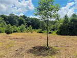 7404 E State Road 160 Salem IN 47167 | MLS 202509870 Photo 29
