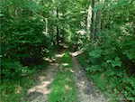 6872 E Hurst Rd Pekin IN 47165 | MLS 202509819 Photo 24