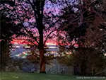 2358 Spickert Knob Rd Floyds Knobs IN 47119 | MLS 202509896 Photo 92