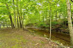 6208 Scottsville Rd Floyds Knobs IN 47119 | MLS 202509976 Photo 78