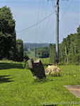 2980 E Banet Rd Salem IN 47167 | MLS 202509998 Photo 4