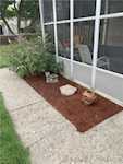 726 Roma Ave Jeffersonville IN 47130 | MLS 202507501 Photo 5