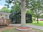 726 Roma Ave Jeffersonville IN 47130 | MLS 202507501 Photo 3