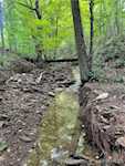 7404 E State Road 160 Salem IN 47167 | MLS 202509870 Photo 48